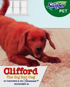 8.2K views · 79 reactions | Swiffer knows some dogs have a way of growing on you…and their hair on your floors. But no mess is too big for Swiffer Sweeper, not even Clifford’s! Check out Clifford the Big Red Dog in theatres and on Paramount+ November 10. #CliffordMovie #Swiffer | Swiffer | Facebook