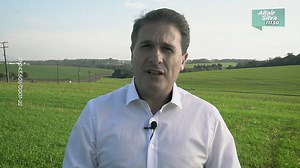 38K views · 381 reactions | Precisamos fortalecer a agricultura e o agronegócio do Oeste Catarinense. Como Técnico Agrícola serei o representante de quem trabalha e produz. Altair Silva, 11130. #AltairSilva #Compromisso #Trabalho #Confiança | Altair Silva | Facebook