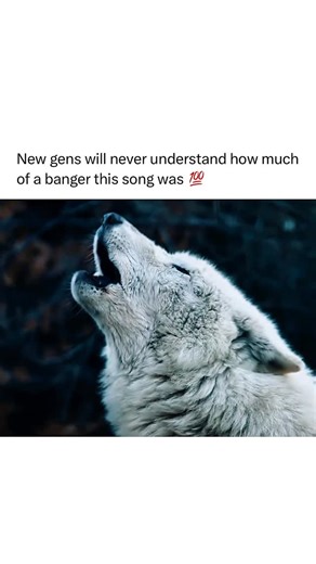 EDM Music on Instagram: "Animals by Martin Garrix wasn’t just a song. It was a moment. Released in 2013 when Martin was only 17, it exploded into the EDM scene with a sound no one saw coming. Dark, minimal, and absolutely massive. The haunting buildup and primal drop flipped the festival world on its head. No vocals, no fluff. Just raw energy. It became a defining track of the big room era and helped launch Martin into global stardom almost overnight. Over a decade later, Animals still goes off.