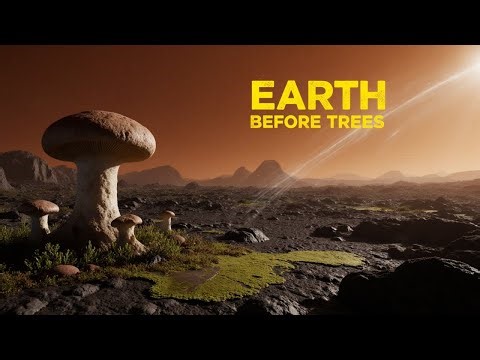 Life Before Trees - How a Barren Planet Transformed into a Green World