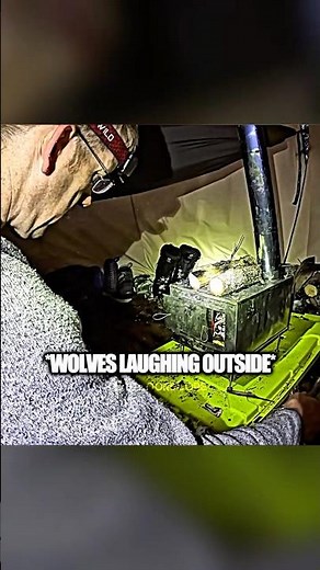 Wolves “Laughing” Outside Our Tent at Night 🐺