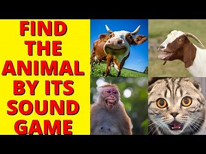 Find The Animals Sound | Listening Game For Kids, Preschoolers & Kindergarten