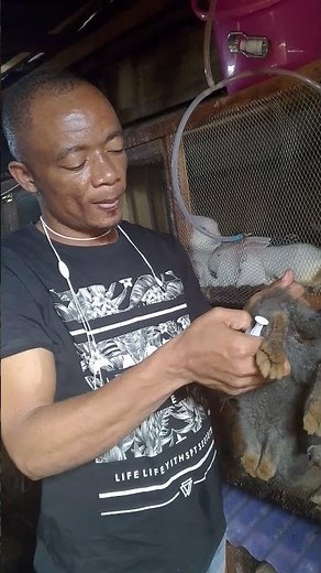 #rabbit #cuniculture #lapin comment effectuer une injection intramusculaire ?