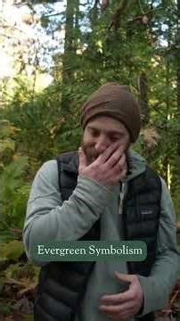 Why Evergreens Symbolize Eternal Life
