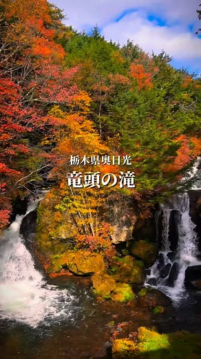 とちひめ🍓とちぎから行けるスポット | 今年もやってきた！栃木が誇る紅葉スポット！ 今年は彩り良くて鮮やかでした！ 混み合うので午前中がオススメ😊 今が見頃なので今週中がベスト！ 📍竜頭の滝 栃木県日光市中宮祠2485竜頭の滝 #とちぎきぶん #栃木観光 #とちぎの四季 #竜頭の滝 #奥日光 | Instagram