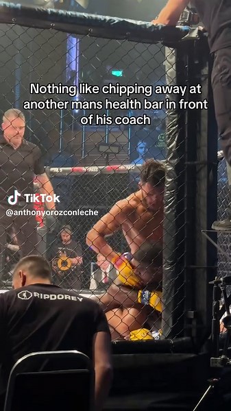 MMA Fight Analysis: Strategy and Technique Unveiled