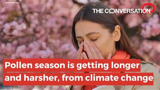 Pollen season is getting longer and harsher from climate change