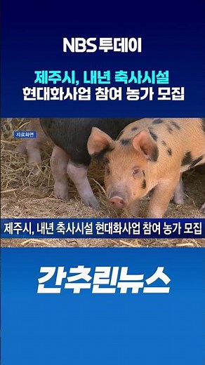 제주시, 내년 축사시설 현대화사업 참여 농가 모집