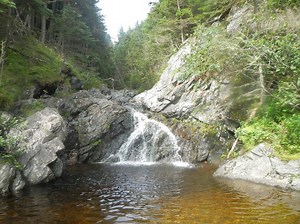 The Fundy Footpath Day 2: Blood, Sweat, and Tears