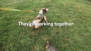 3.4K views · 35 reactions | Leaks, we’re on it! Meet Luke, Denzel and Kilo; part of our leak detection team. They’re on the hunt for leaks, finding them and stopping them early. #LeaksWeAreOnIt #DetectingLeaks | United Utilities | Facebook