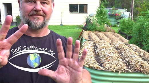 7 essential tips for a healthy & productive vegetable garden | Self Sufficient Me