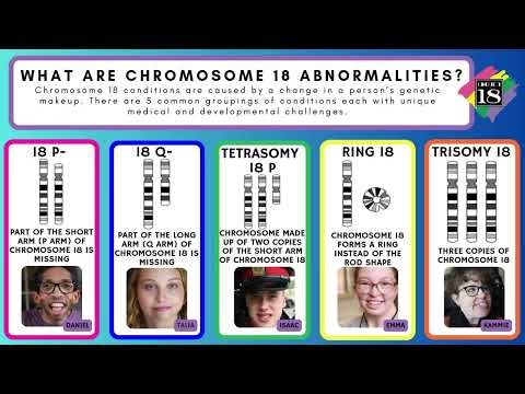 Chromosome 18 Community PowerPoint