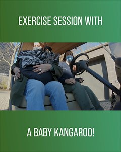 10K views · 232 reactions | A young red kangaroo enjoys a fun exercise session, hopping around a cozy living room! #TheZoo Watch full episodes on discovery+: https://bit.ly/3HfHr6e | Love Animals | Facebook