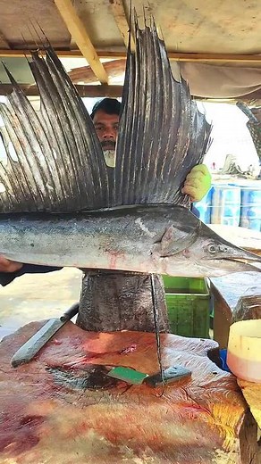 Fish 🐠 meat 🍖 cutting ✂️ #foryou #evreonepage #evreone #cuttingshapes #fyp #fising