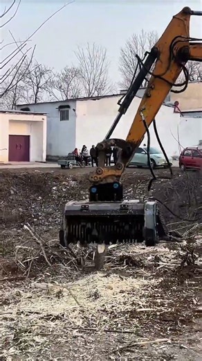 Removing dead trees using excavator support to scrape roots and clear the land efficiently #machine