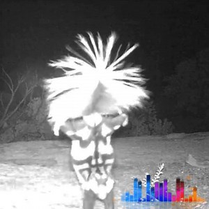 468K views · 4.8K reactions | #StayWild #StaySwole. Before spraying...