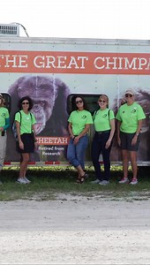 134 reactions · 14 comments | It’s National Volunteer’s Week and we’re thanking the people who help make all of this possible!! Our volunteers are filled with passion, dedication, and spirit, making our entire operation possible. We literally could not do this without them!! If you’re a volunteer, we thank you. If you’re not, we ask that you thank our volunteers in the comments below with emojis and kind words ❤️ | Save the Chimps, Inc. | Facebook