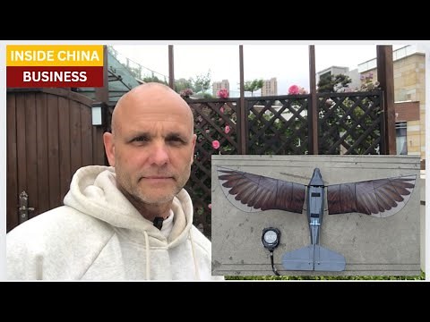 China's revolutionary bird drone takes flight, ideal for recon and special operations missions