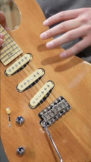 A Fender Strat meets PRS Custom 24