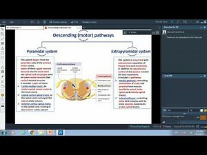 Descending Pathways-Dr.Ahmed Farid