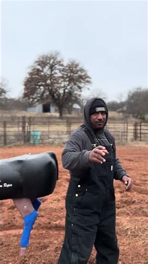 Doing some coaching #horse #rodeo #roping #cowboys #teamroping