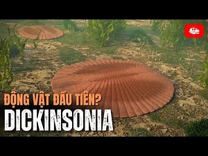 Dickinsonia: The First Animal? | Paleontological Record