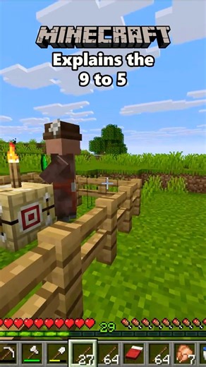 I explained the 9 to 5 using Minecraft