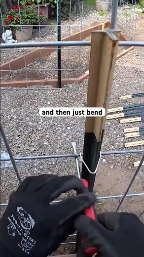 How to Install a T-Post Clip | Quick Garden Tip 🌱