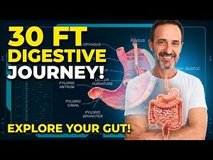 Digestive System Anatomy Explained | 3D Medical Animation of Digestion