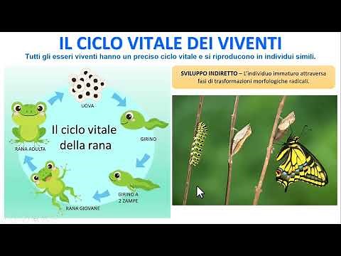 IL CICLO VITALE DEGLI ESSERI VIVENTI