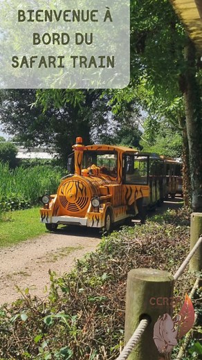 🚂 Embarquez à bord du Safari train pour admirer la plaine africaine et la plaine américaine... Bisons, zèbres, gnous, élan du cap et bien d'autres vous y attendent ! | CERZA Parc des Safaris