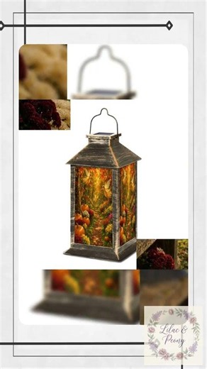 Solar Fairy Lantern Fall Forest Woodland Landscape