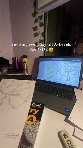 Daily Revision Strategies for A-Level Success
