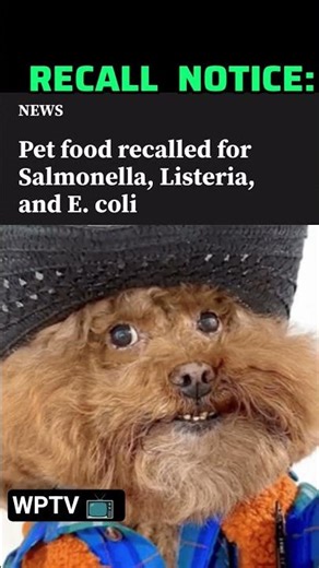 The FDA seemingly hasn't been doing their job lately 🙁 #petfood