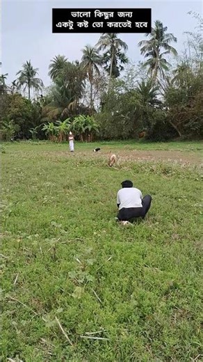 Wedding outdoor photo pos।ST.photoshop#wedding#photography#shortvideo#viralvideo#youtubeshorts#india