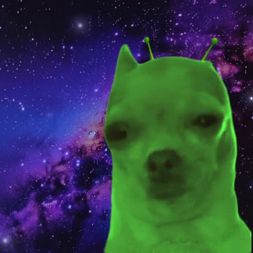 Gog the Alien on Instagram: "Real #gog #alien #dog #2023 #nostalgia #deathbed #coffeeforyourhead #viral #memes #fyp"