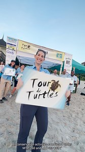 12K views · 334 reactions | The 16th annual Tour de Turtles is...