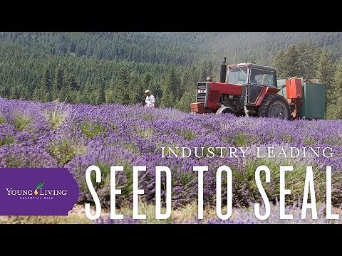 Young Living's Seed to Seal