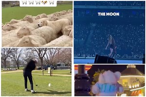 The Morning Laugh: 5 funny videos and memes to start your day with a smile