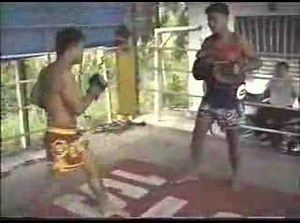 Lumpini & Rajadamnern stadium champions training (4 of 5)