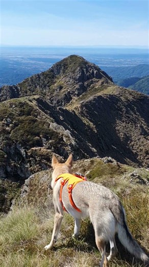 Avventura in Montagna Non Crederai ai Tuoi Occhi