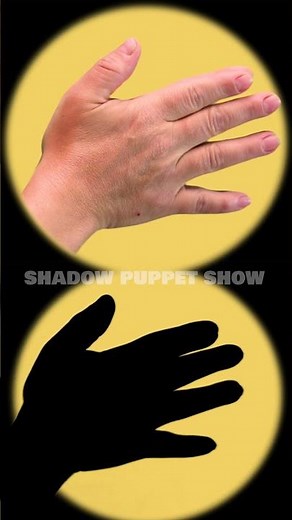 SHADOW DOG with Your HANDS! 🔦🤲🐶