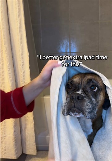 Poppy's Hilarious Side Eye Reaction to Bath Time