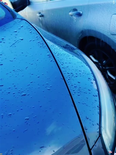 Humorous Moments: Toilet Breaks Gone Wrong