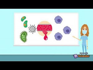 Fagocitosis