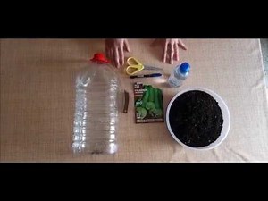 How to make a homemade mini greenhouse