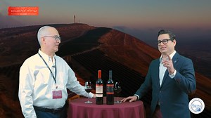 2.6K views · 21 reactions | Single-Varietal Petit Verdot? Yes! Talking to Erik Segelbaum advanced sommelier about the challenge of making this unusual & amazing wine. Amazing, never seen before, drone video of Shiloh winery's vineyards in the background. Watch the 1st video of this series: https://fb.watch/f7eSDAVxIb/ . . . . . Decanter The SOMM Journal Royal Wine Corp. Israel Wine Producers Association Kosher Food & Wine Experience | Shiloh Winery | Facebook