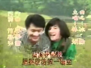 冰點 - 林娟【1988華視連續劇《 冰點 》主題曲】
