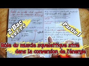 🔥🔥 Le Rôle Du Muscle Strié Dans La Transformation D’énergie 🔻Partie 1🔻 2 Bac BIOF SVT 🔻 chapitre 2🔻