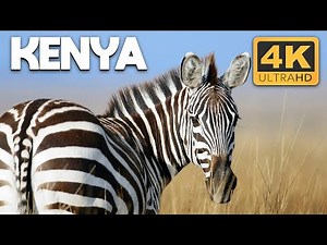 Kenya: A Breathtaking Journey Across Land, People & Wildlife | 4K UHD Documentary